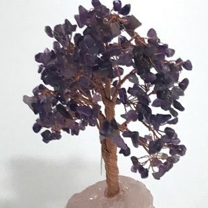 Meet your Posher, Dayna